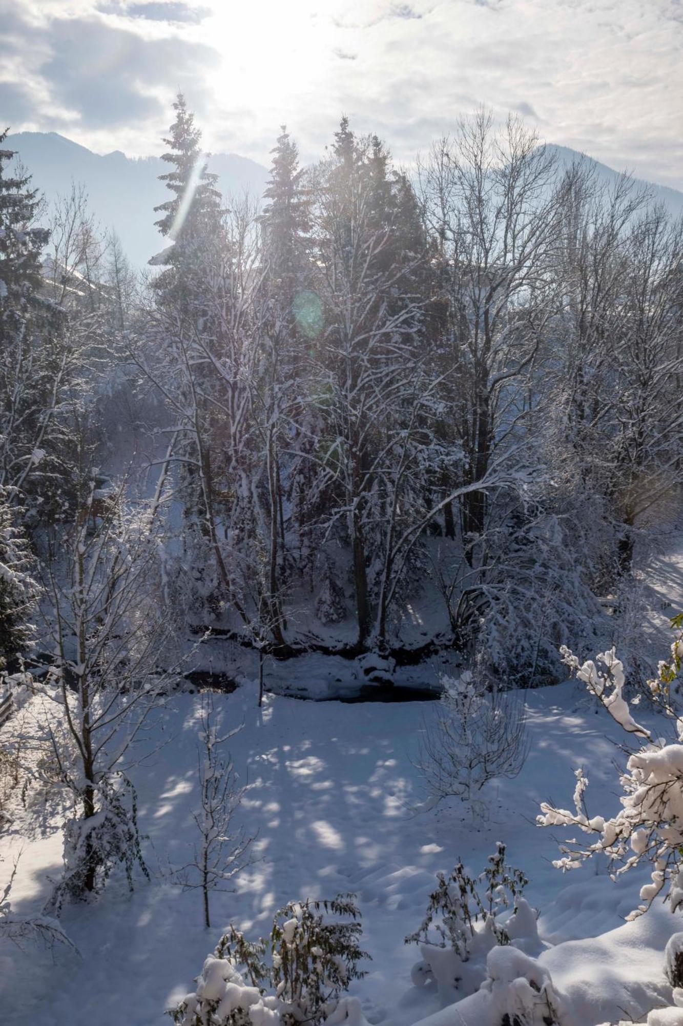 Servus Almtal Scharnstein Exteriör bild